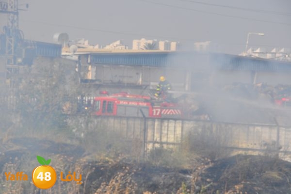 firecartoonsecnd506 (19).JPG